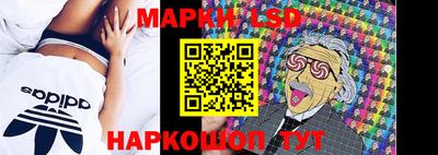сатива Будённовск