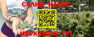 мяу мяу мука Бузулук