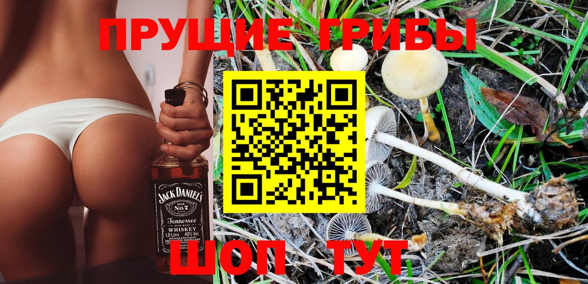 Прокопьевск  Галлюциногенные грибы Psilocybine cubensis  Вход с VPN 